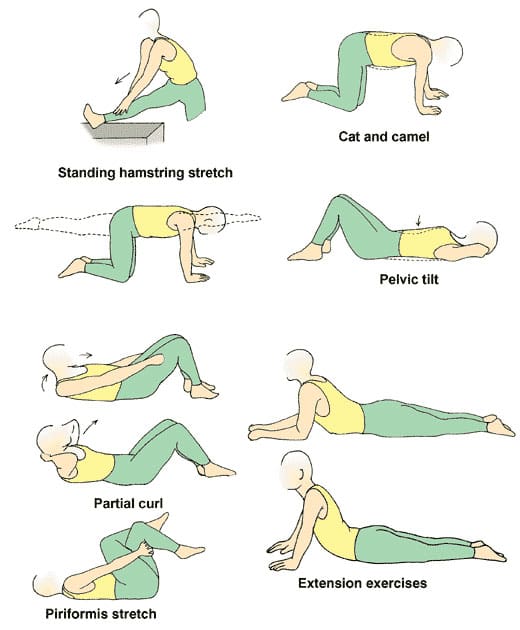 TEN Best Stretches For Lower Back Pain And Stiffness 